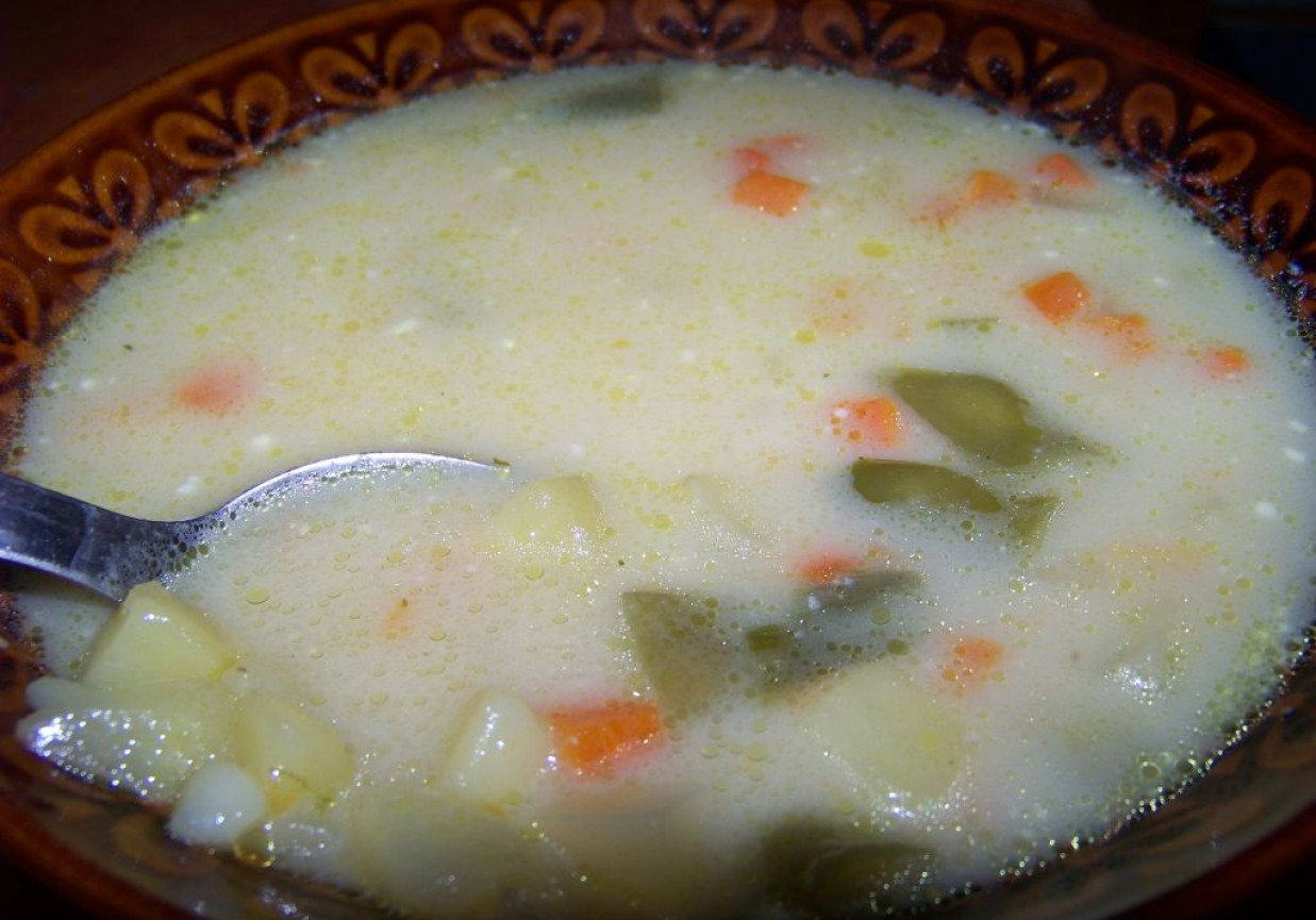 Szybka zupa jarzynowa według Agi foto