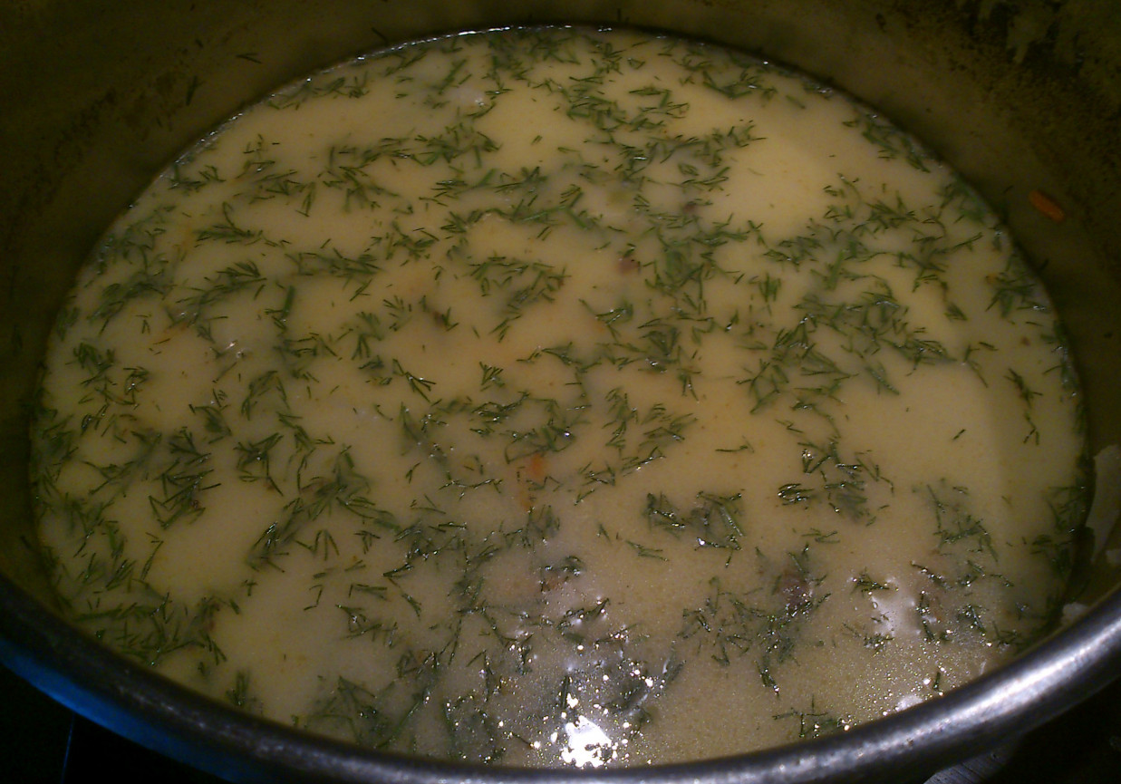 Szybka zupa koperkowa foto
