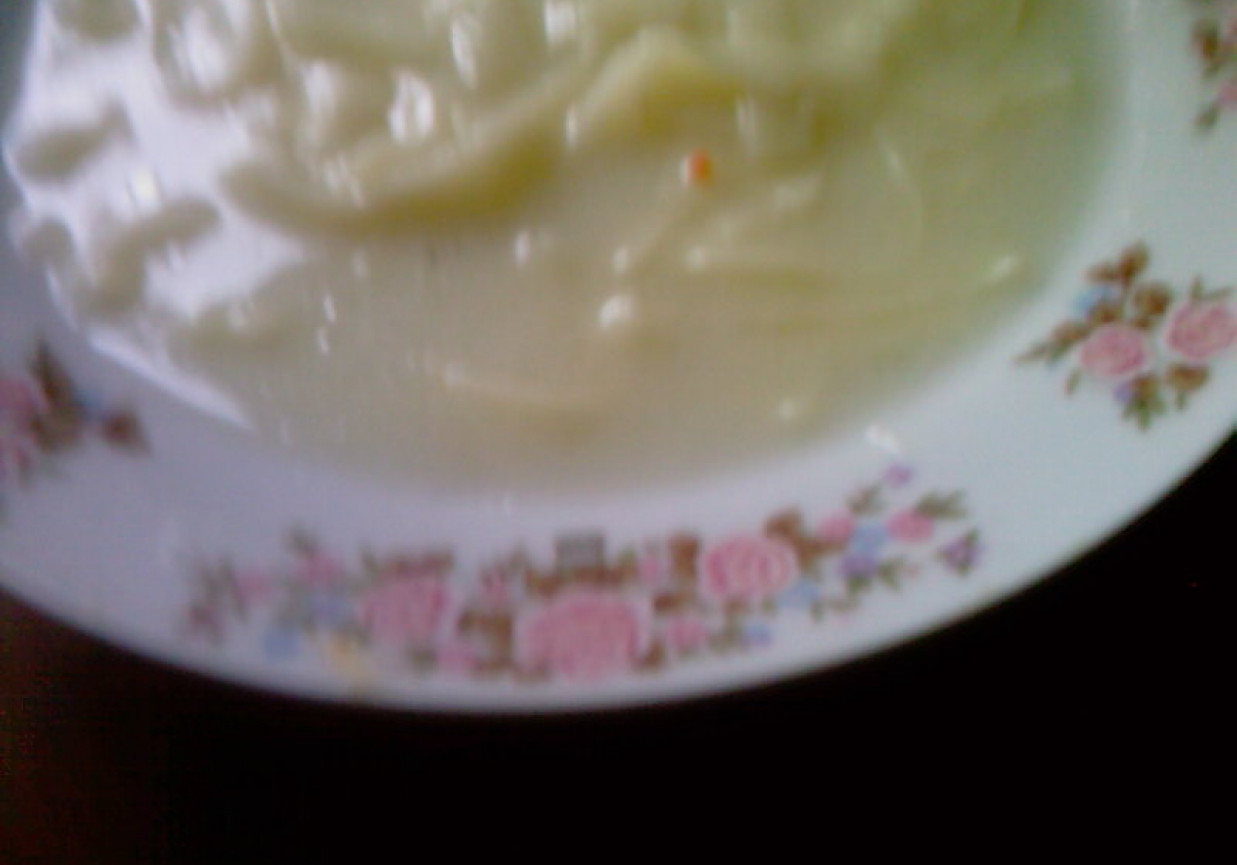 Szybka zupa ogórkowa z makaronem foto