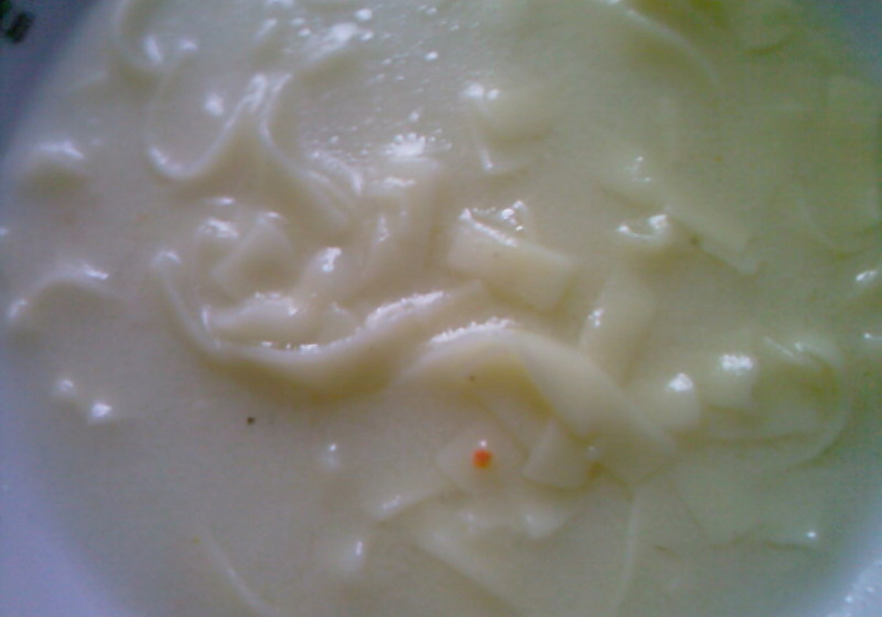 Szybka zupa ogórkowa z makaronem foto