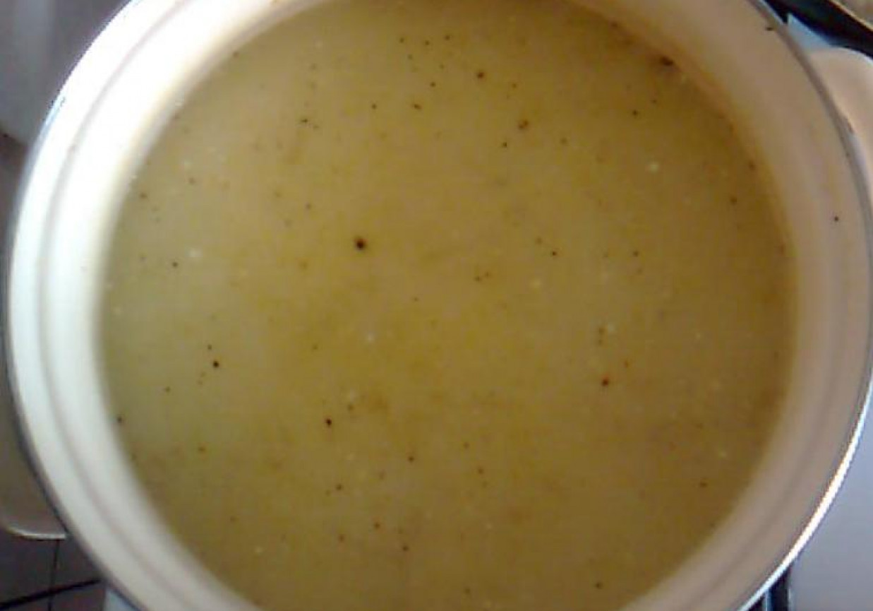 Szybka zupa ogórkowa foto