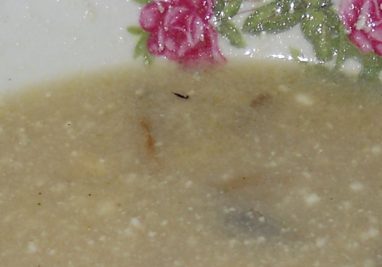 szybka zupa pieczarkowa foto
