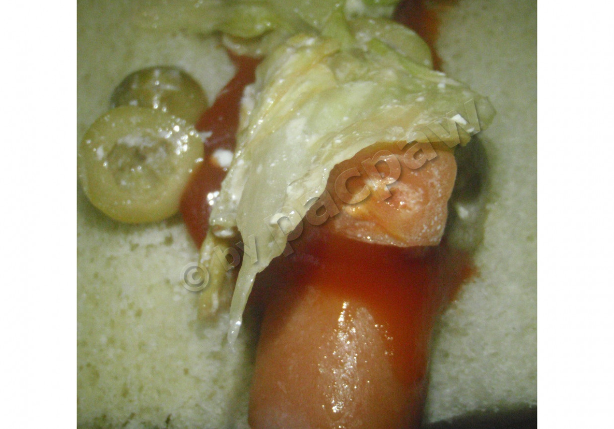 Szybki hot-dog foto