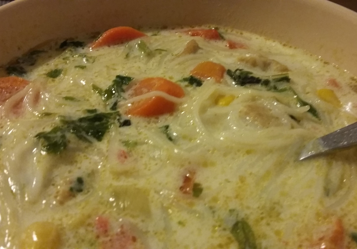 Tajska zupa z indykiem i makaronem ryżowym foto