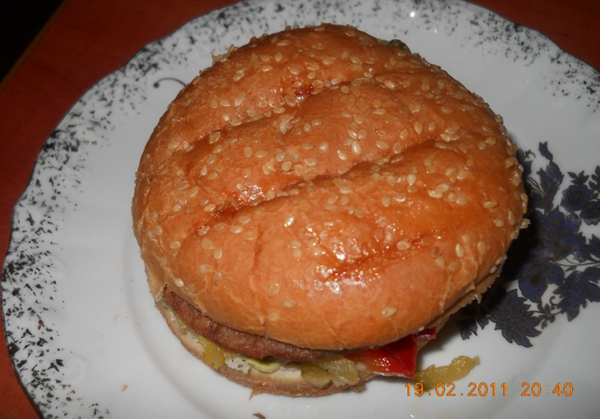 tani hamburger foto