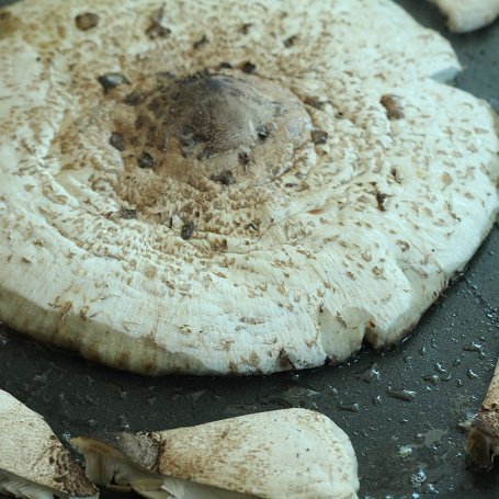 Krok 5 - Tarta z dynią i kanią foto