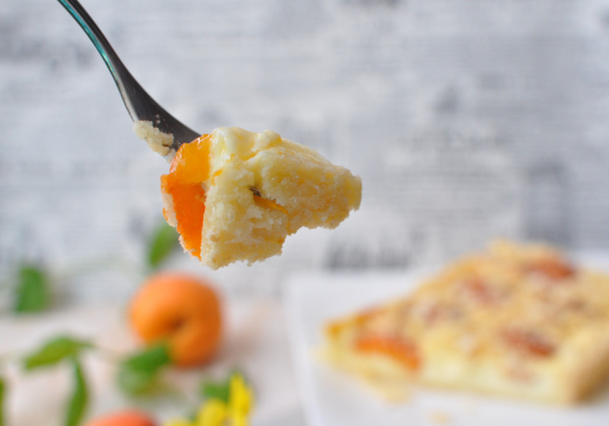 tarta z morelami foto