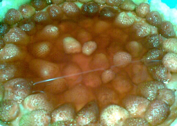 Fotografia przedstawiająca tarta z truskawkami