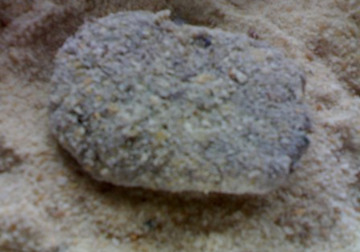 tleciki z soczewicy foto