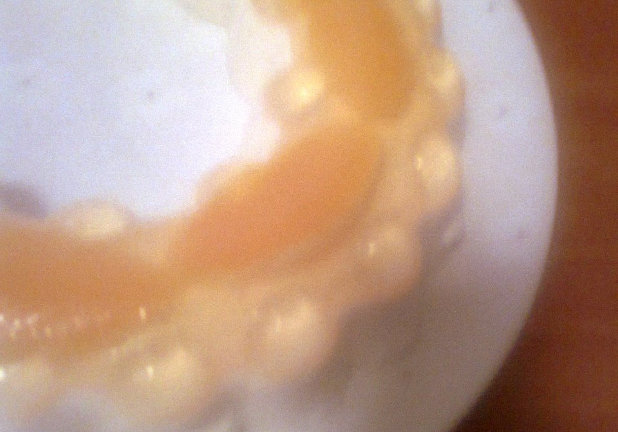Torcik jogurtowy z pomarańczami foto