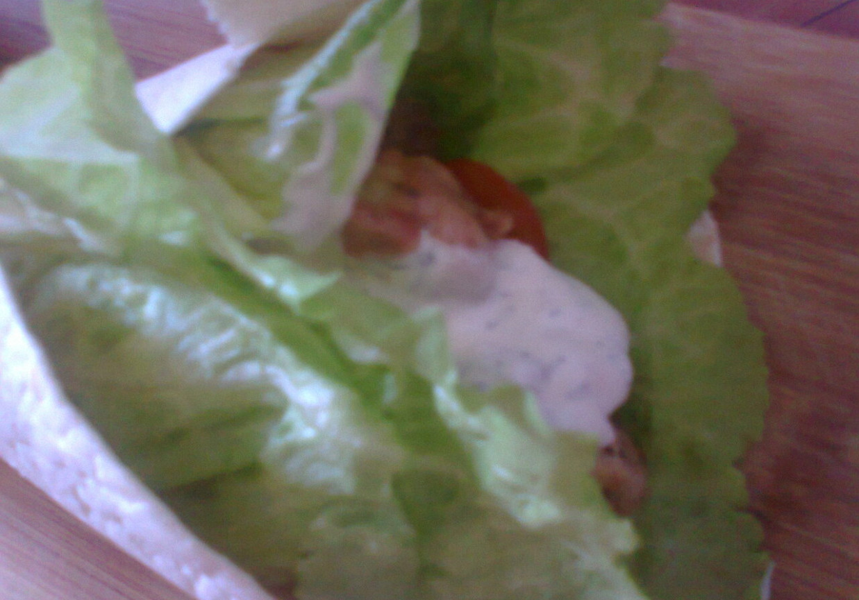 tortilla Benus z indykiem i wkładem warzywnym foto