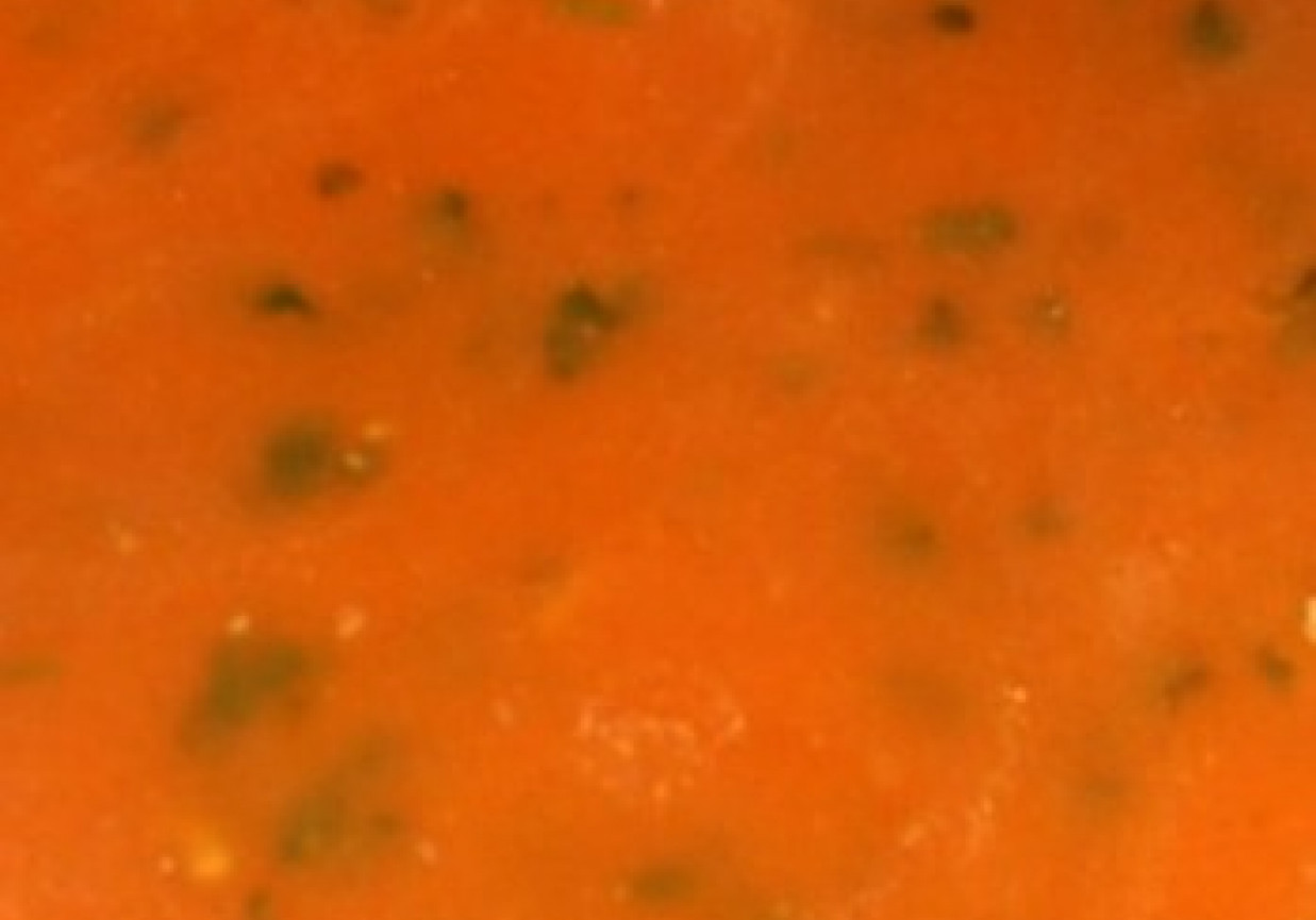 Toskańska zupa pomidorowa foto