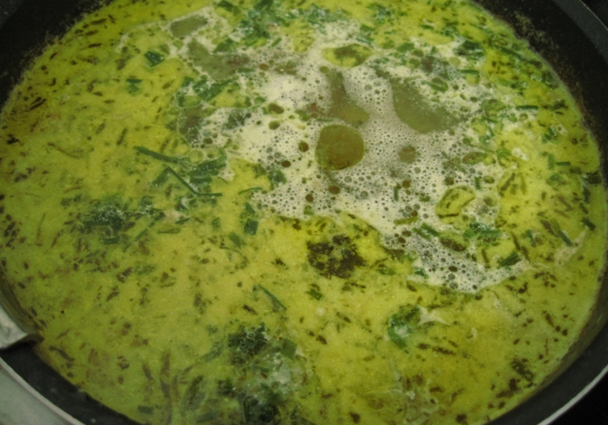 tradycyjna zupa ogórkowa foto
