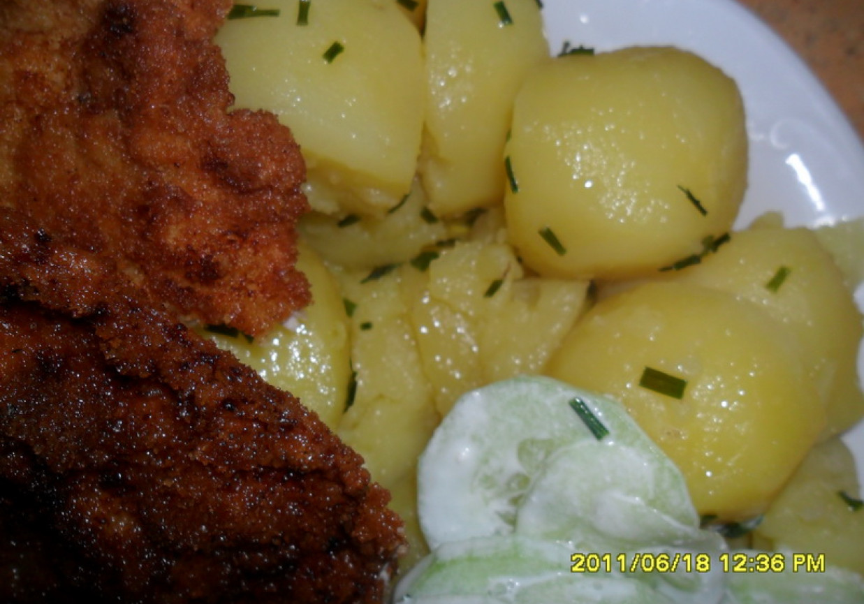 Tradycyjny obiad: schabowy + ziemniaki młode+ mizeria foto