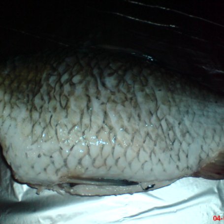 Krok 1 - Tusza karasia grilowana foto