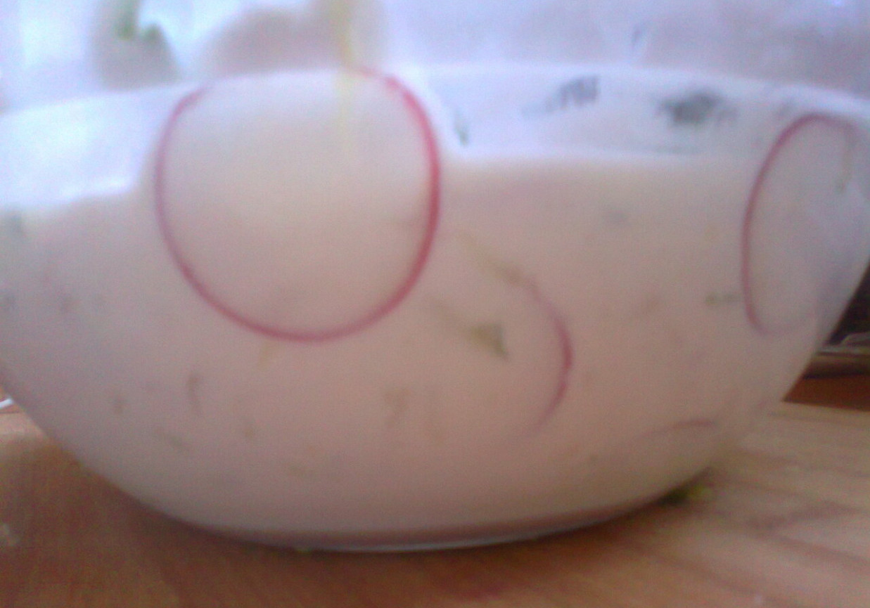 twaróg President z rzodkiewką, ogórkiem, szczypiorkiem i pieprzem kolorowym Prymat foto