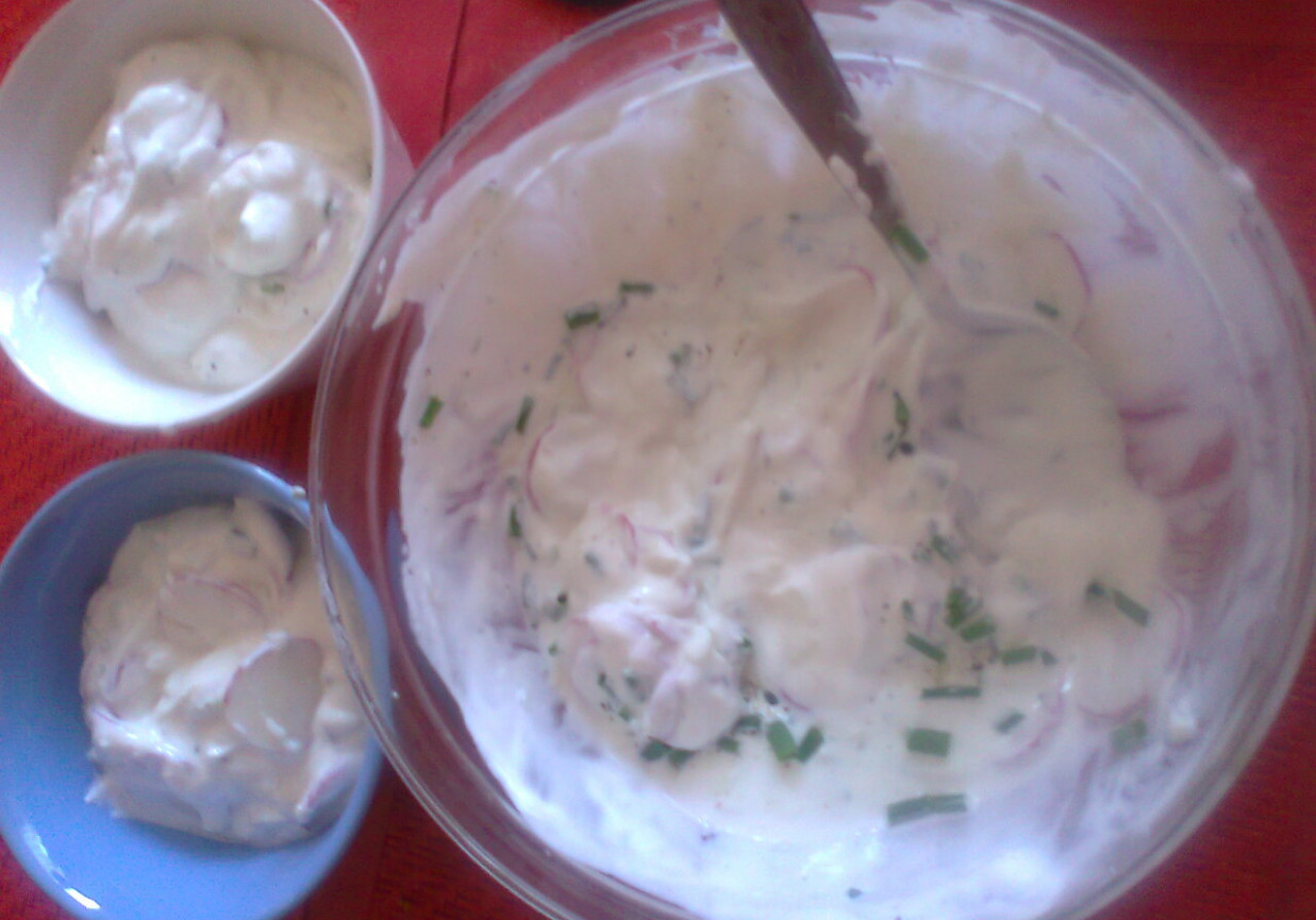 twaróg President z rzodkiewką, ogórkiem, szczypiorkiem i pieprzem kolorowym Prymat foto