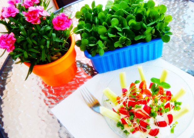 Fotografia przedstawiająca Twarożek z warzywami i kiełkami