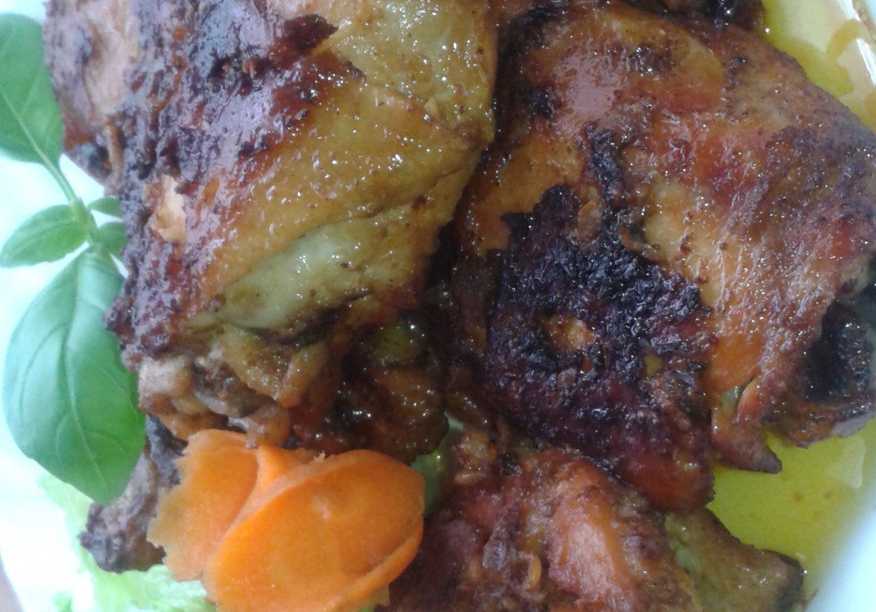 Uda z kurczaka z grilla foto