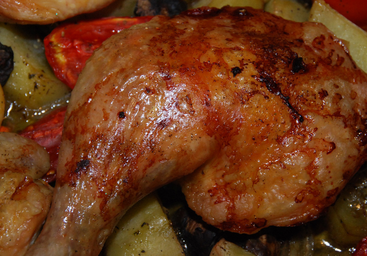 Udka i skrzydełka kurczaka pieczone na warzywach foto