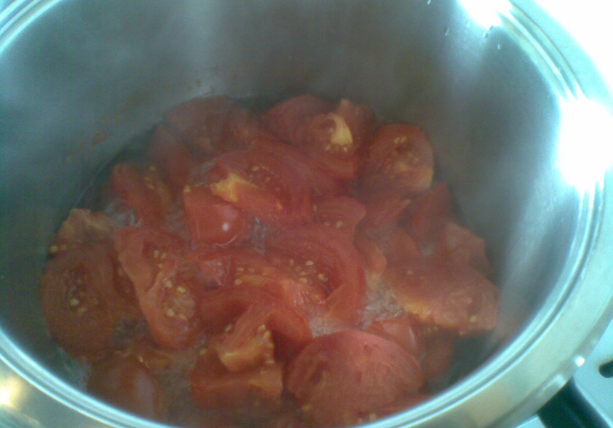 udka z kurczaka w sosie pomidorowym foto
