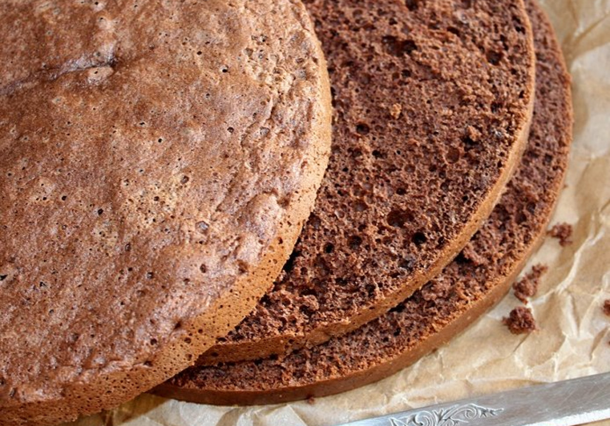 Uniwersalny biszkopt kakaowy do ciast i tortów foto