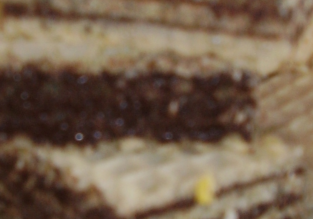 Wafle z masą kakaową foto