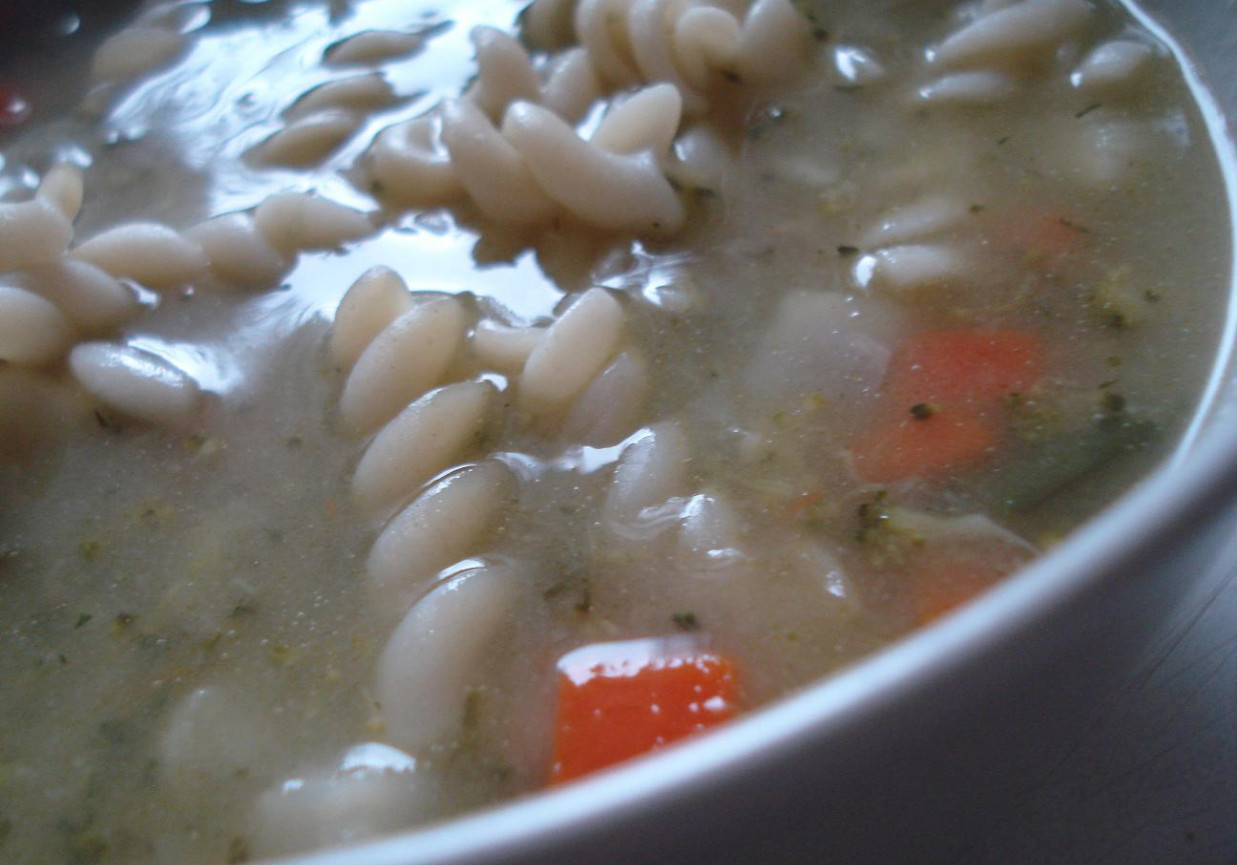 Warzywna zupa z makaronem foto
