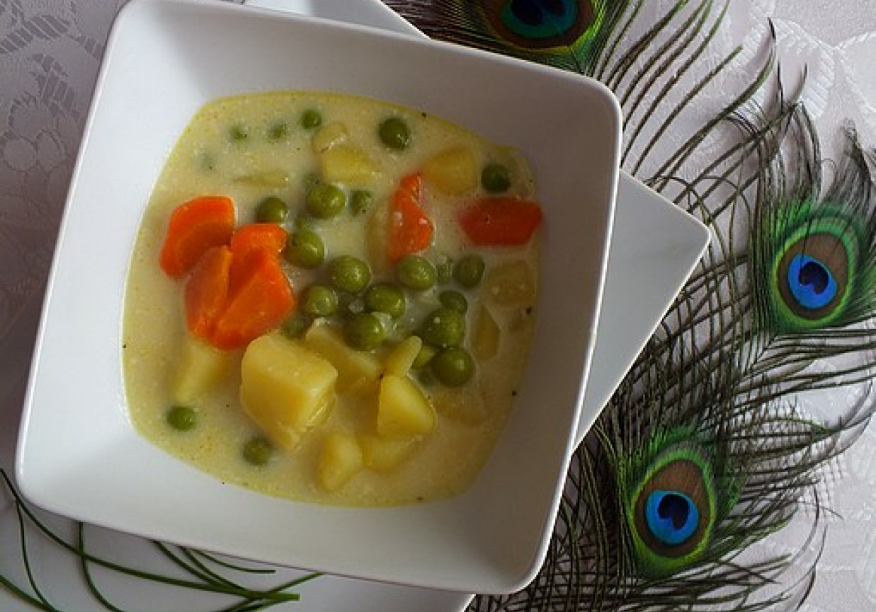 Warzywna zupa z serkiem topionym foto