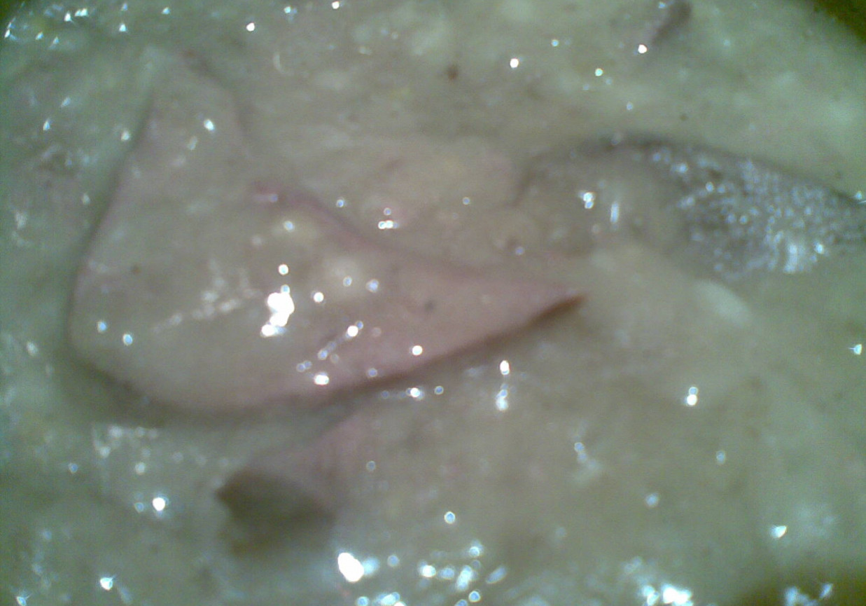 wątroba wieprzowa w sosie własnym foto