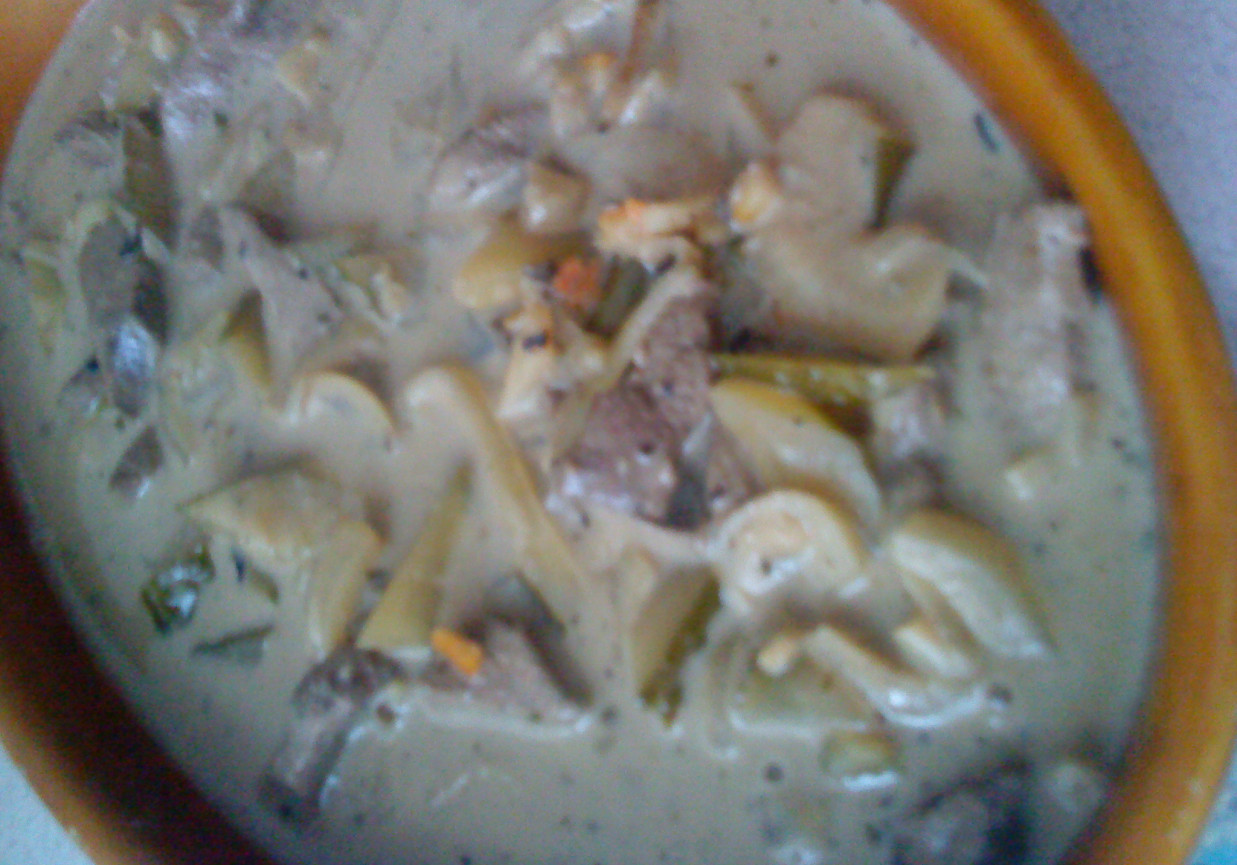 Wątróbka leśniczego foto