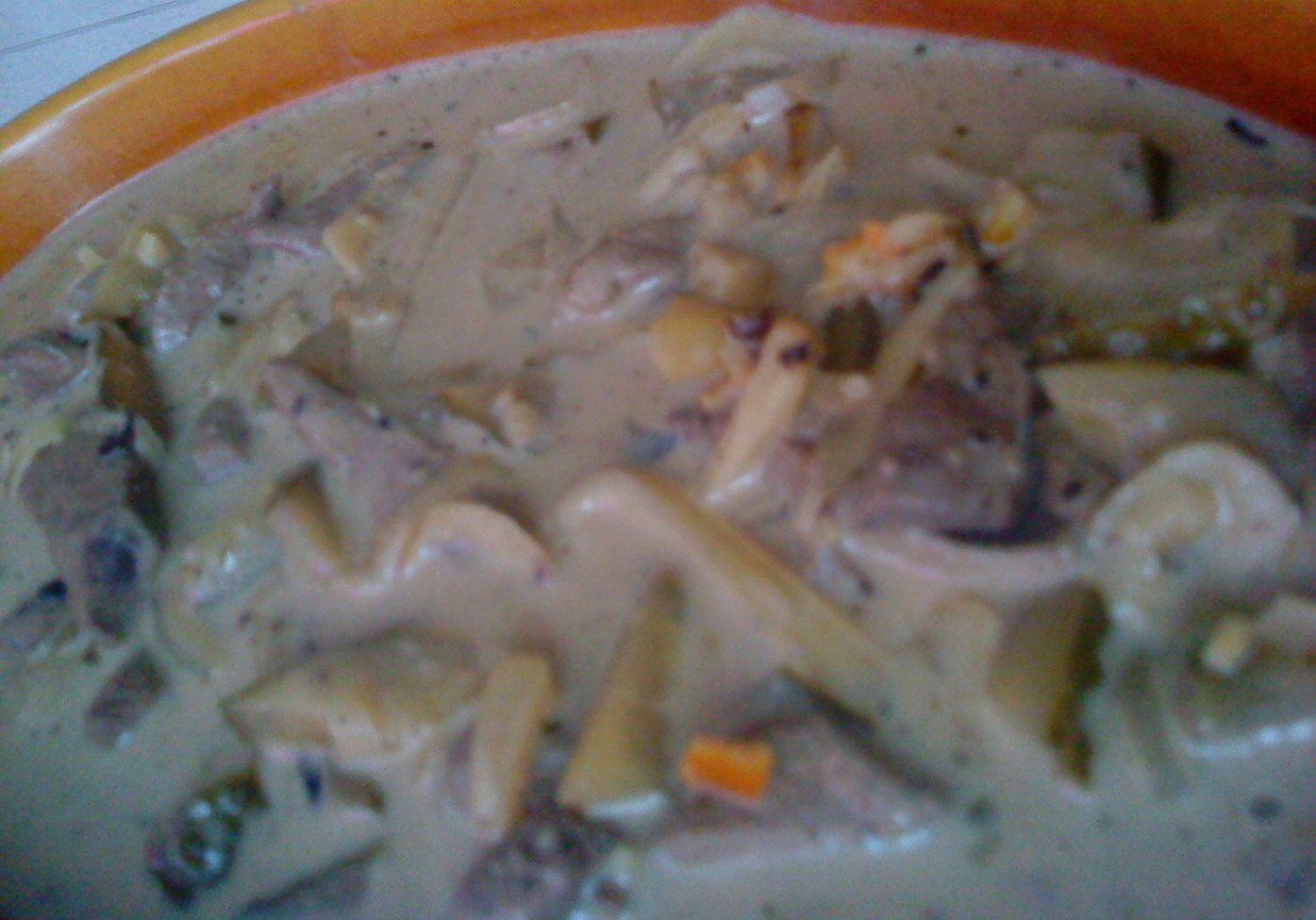 Wątróbka leśniczego foto