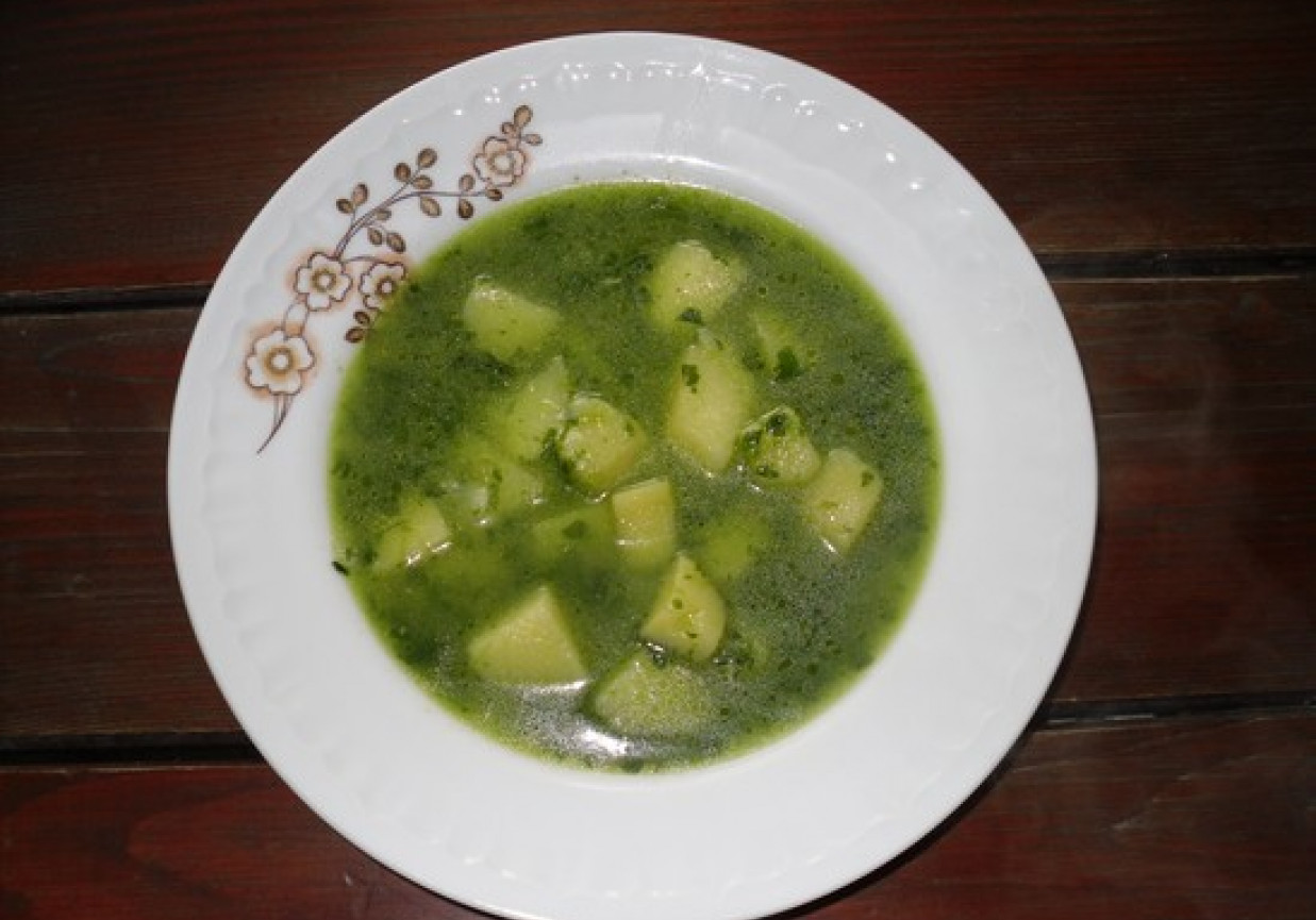 Wegańska zupa ze szpinakiem foto