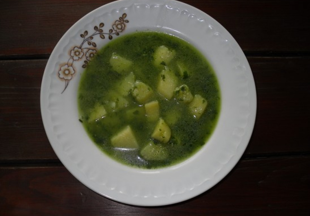 Wegańska zupa ze szpinakiem foto