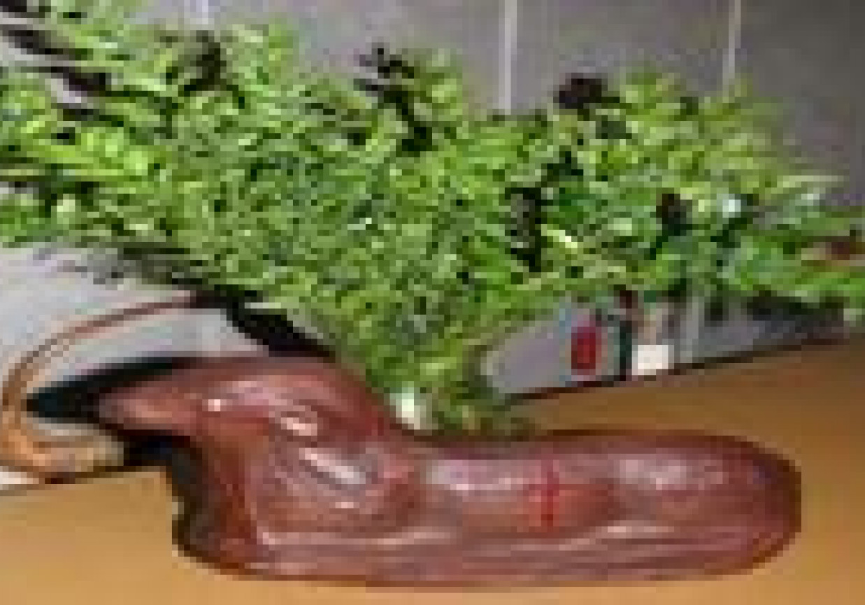 Wielkanocne cudeńka