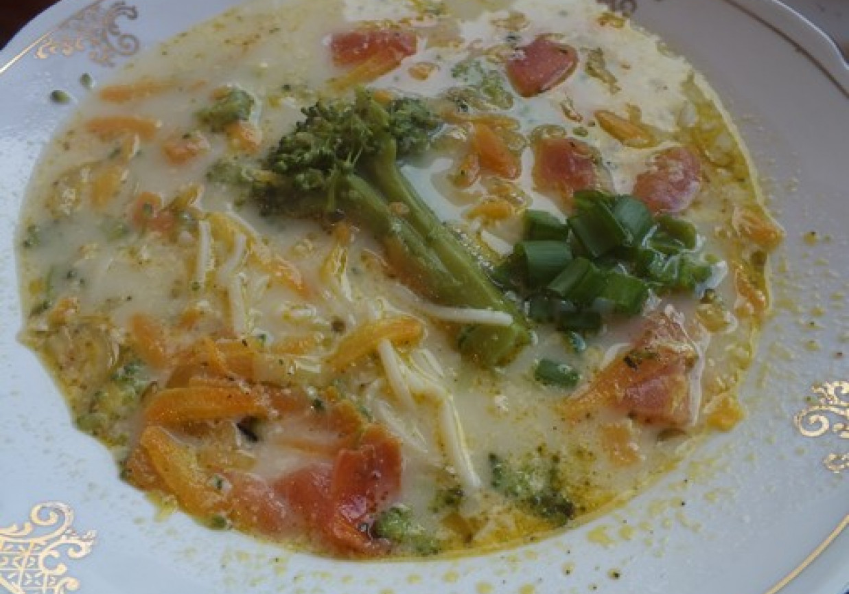 Wielowarzywna zupa podana z makaronem foto