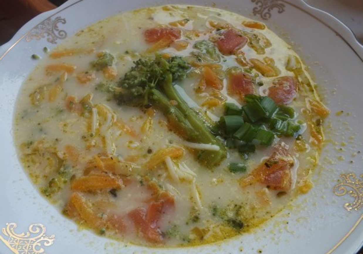 Wielowarzywna zupa podana z makaronem foto