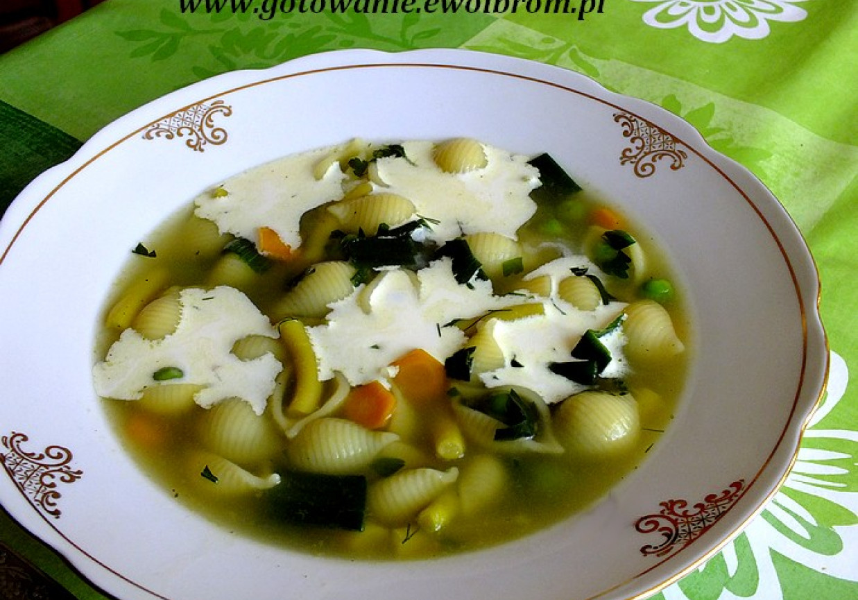 Wielowarzywna zupa z makaronem foto
