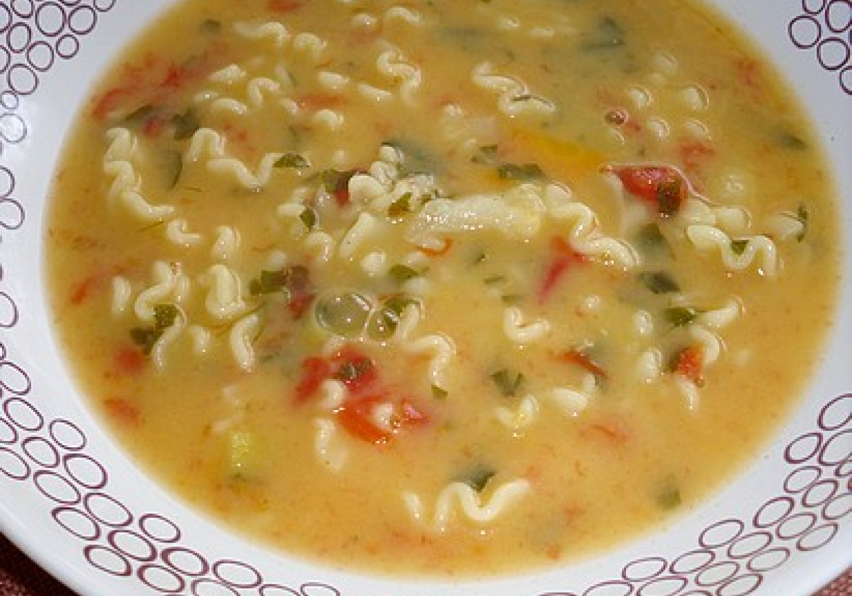 Wielowarzywna zupa z makaronem foto