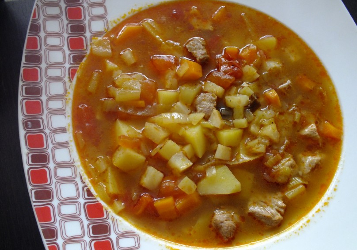 Wielowarzywna zupa z mięsem foto