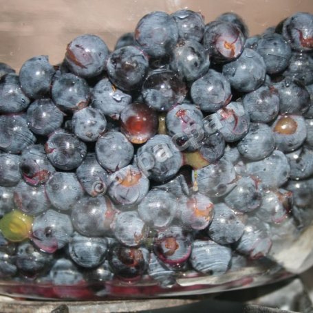 Krok 2 - Wino domowe bezdrożdżowe foto