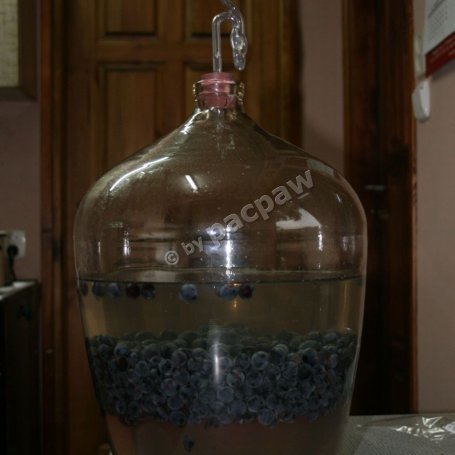 Krok 4 - Wino domowe bezdrożdżowe foto