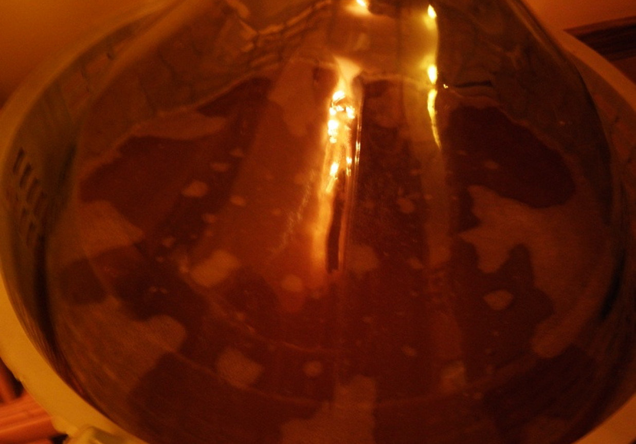 Wino gronowe działkowiczki. foto