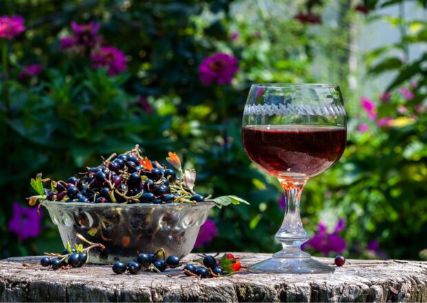 Fotografia przedstawiająca Wino z czarnej porzeczki