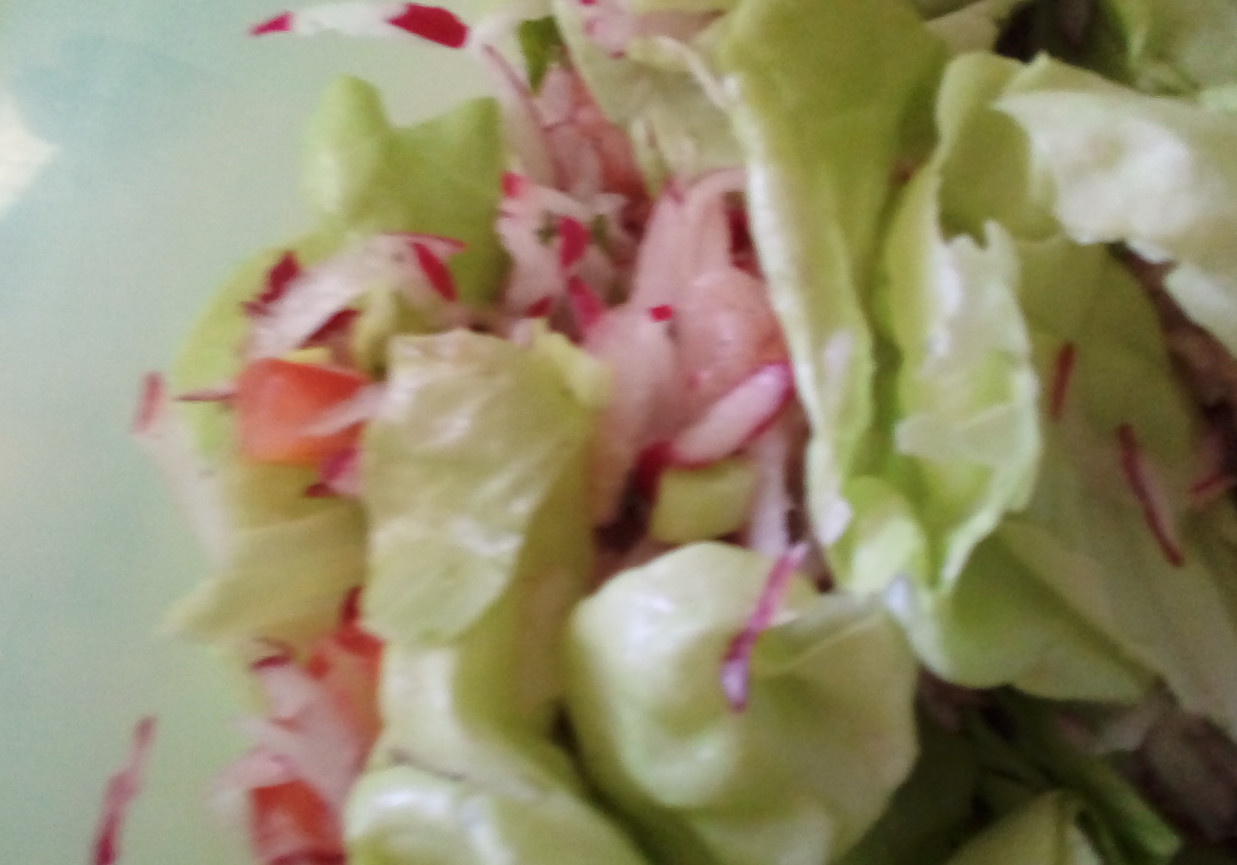 wiosenna salatka foto