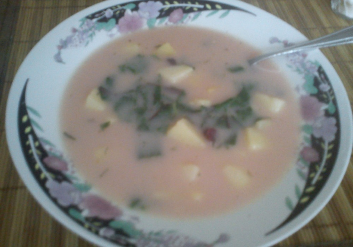 Wiosenna zupa - botwinka foto