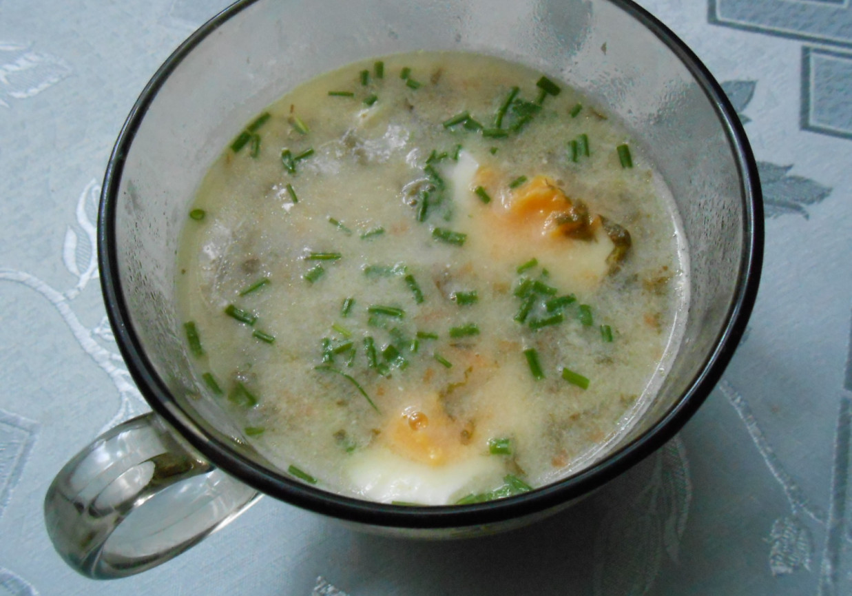 Wiosenna zupa szczawiowa foto