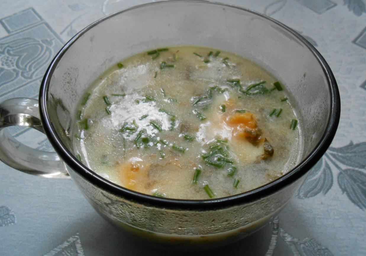 Wiosenna zupa szczawiowa foto