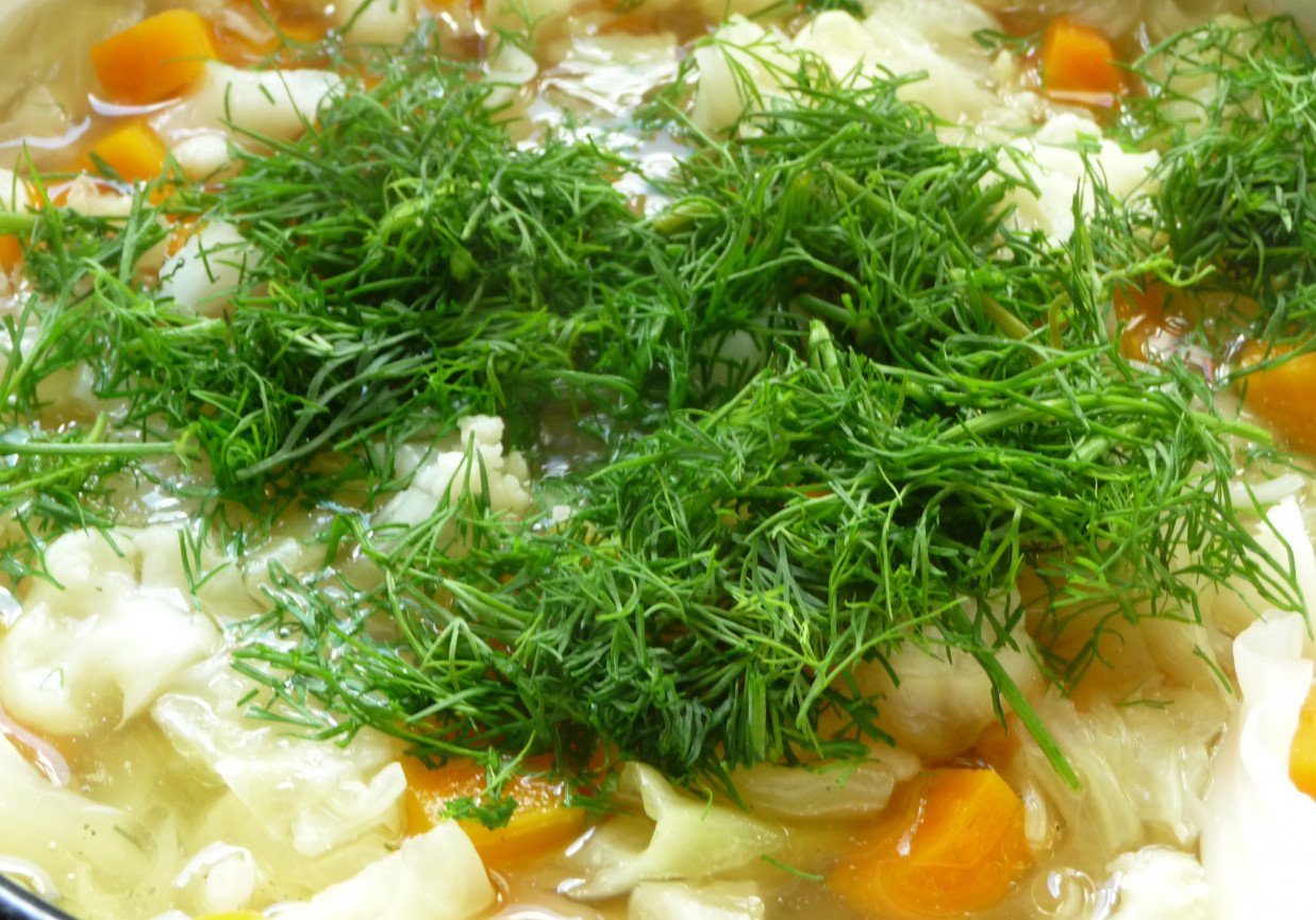 Wiosenna zupa z kalafiora i kapusty foto