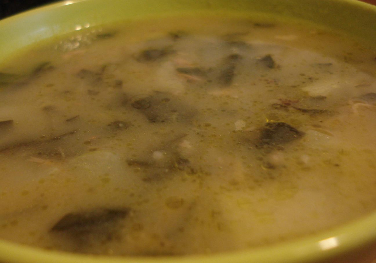 Wiosenna zupa z kalarepką foto